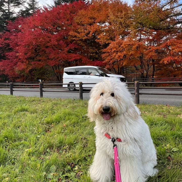 2834ed40 29ea 4612 b7ca 677f26519ecc 1762582747494