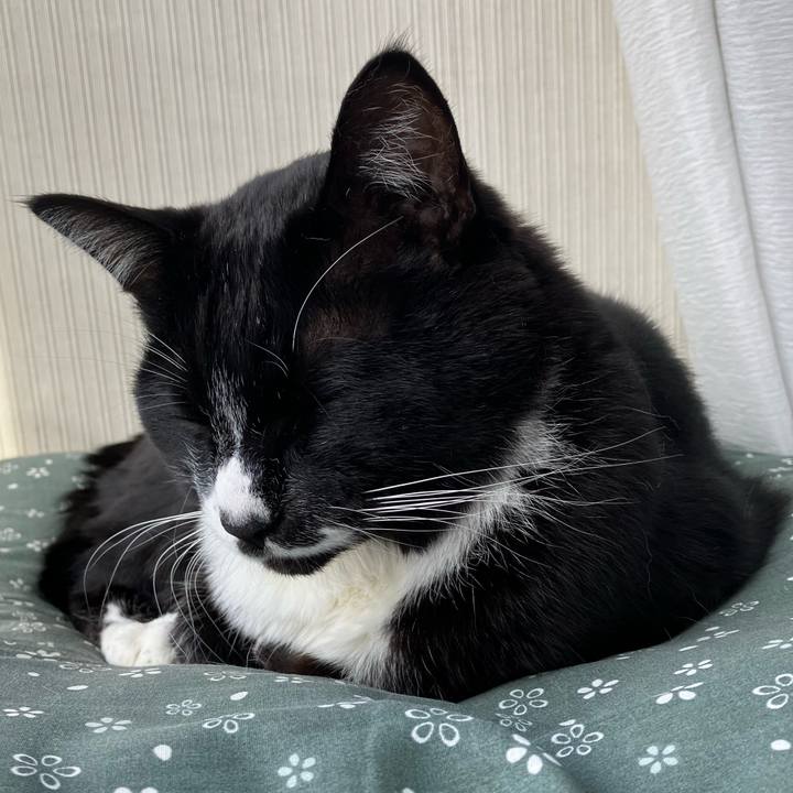 28350185 a53c 432f 9bf1 f29e160eb5ec 1769484368573