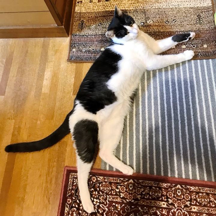 283506a9 176d 47e4 a82d d73cb22506a7 1508379129807