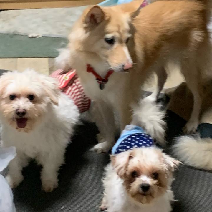 28352a03 2e73 4ac0 a7db 976a6cde8fac 1671260413273