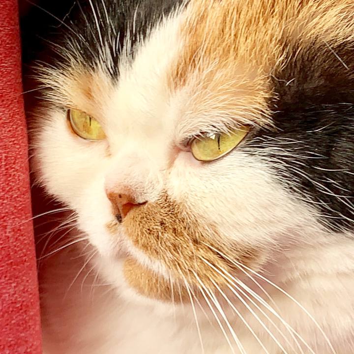 28352a54 b7a6 4e6b a51c b5b1ce7d05f6 1564526738189