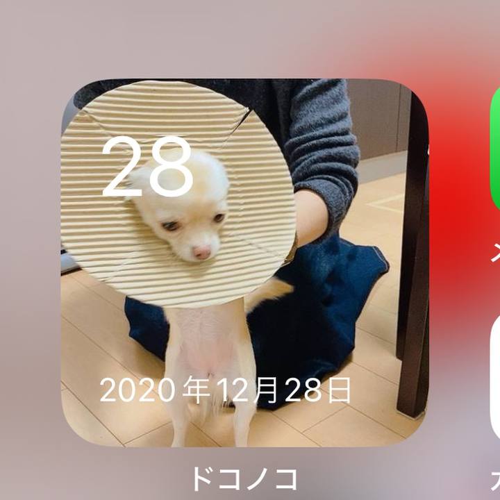 28353bda a6c7 414b ba1e 4290a777aa11 1703755282022