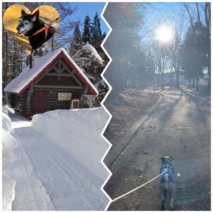 28354332 7800 40fd 8e31 05c3b3a62bcf 1736598332094