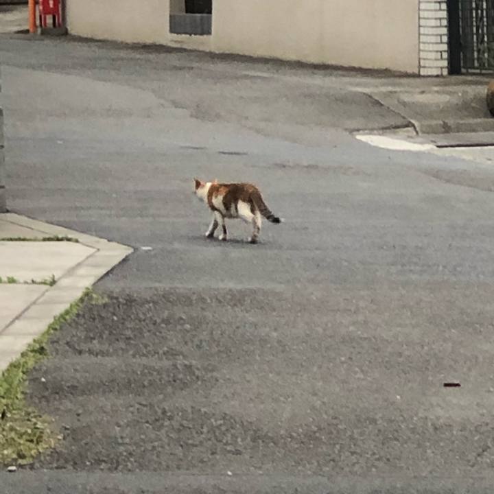 28354bf4 e94c 4949 8f3c 115354b20f39 1589533641493