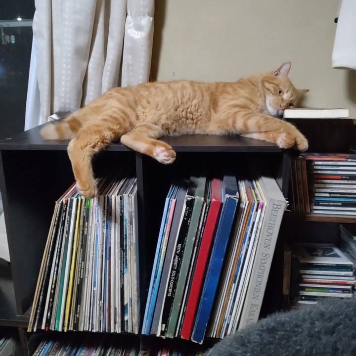 28356473 7b7a 4ab0 985e 315f7250e1e1 1694867392030