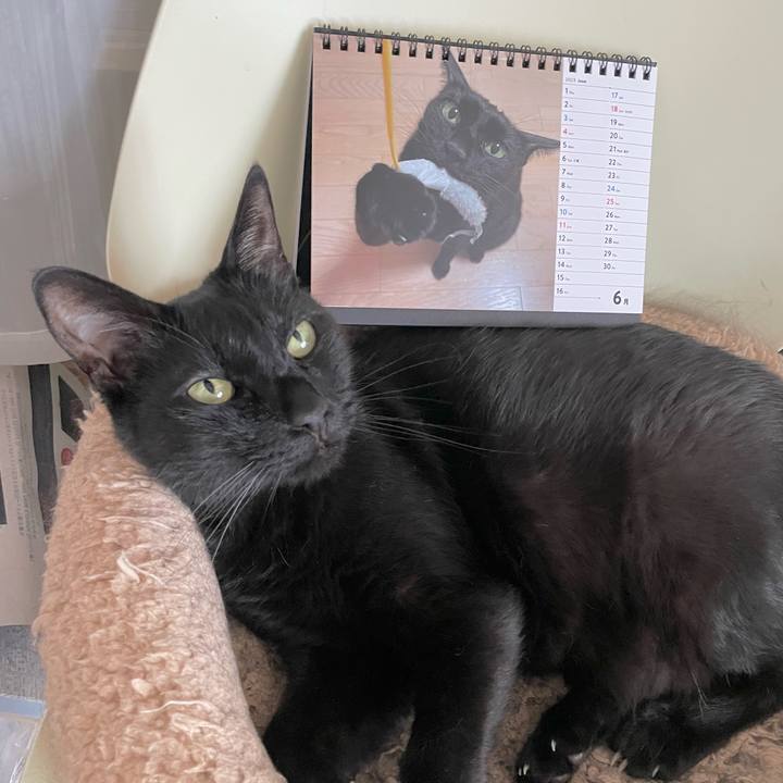 283566ff 18bf 41c9 b80e 0492d862df27 1688197779487