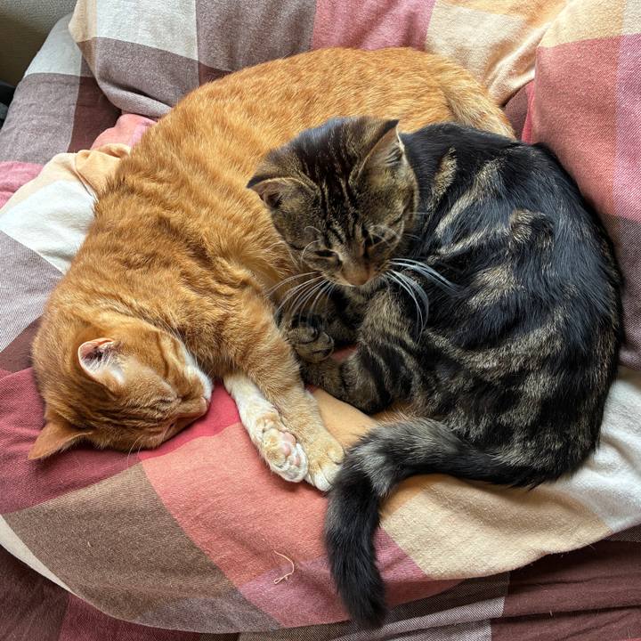 2835aaa4 d63c 44e5 92aa 8340f056fd7d 1748575979847