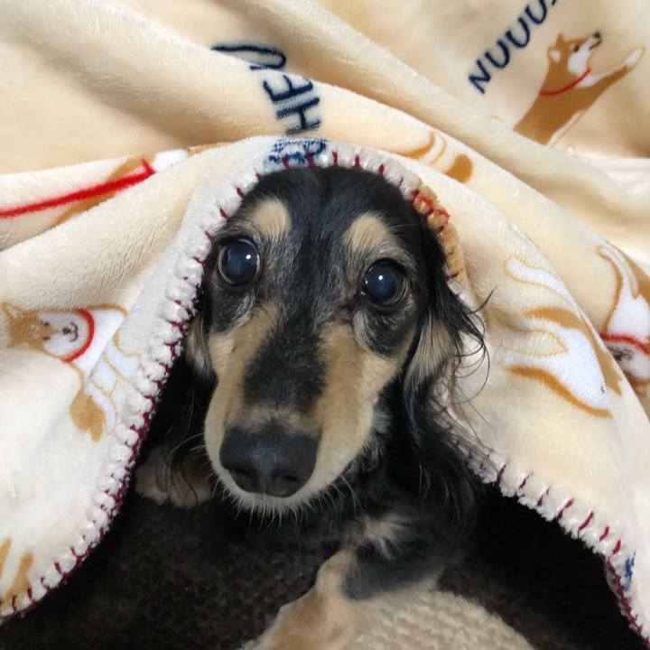 2835ab5e 5d26 42aa 9862 5868b3c05d5a 1555686100272