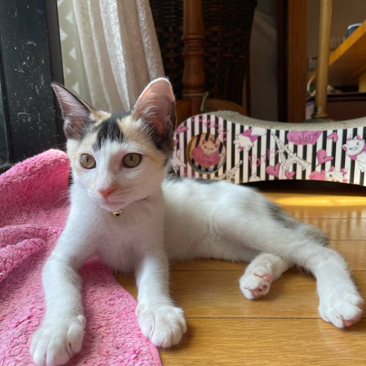 2835b5fc bb12 472e a6bb 2f7eaa256840 1659314327742