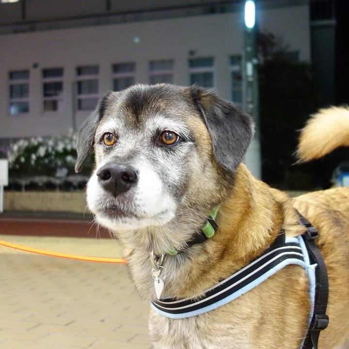 2835f6f0 b04b 4944 8fc3 7e4200b7c979 1511615452579