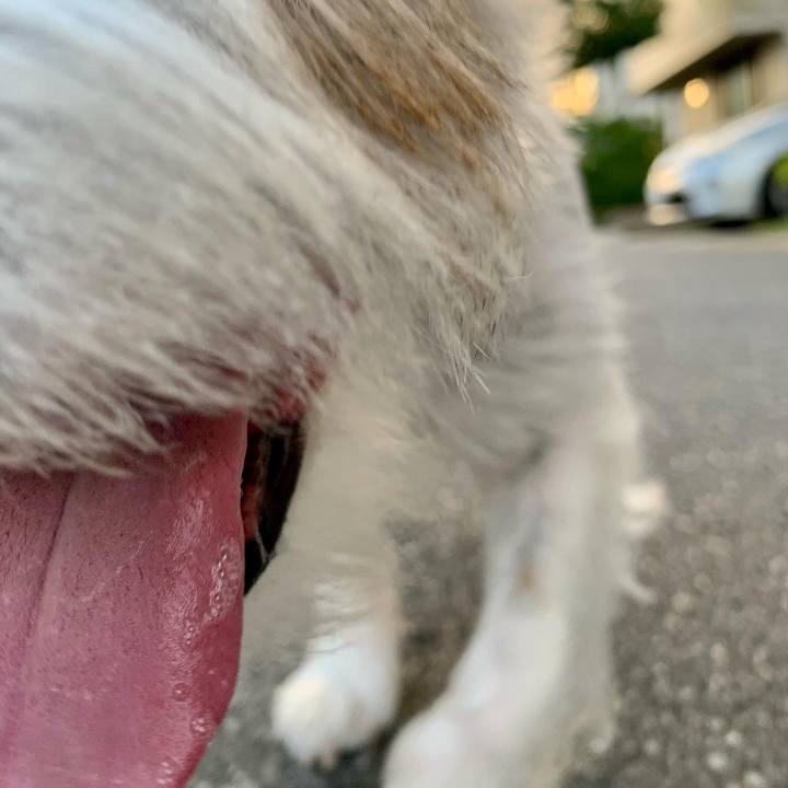 2835f89b dd2b 4a87 9aef 6f7f74b5fa54 1665833695634