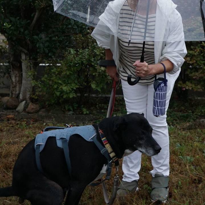 283684fe b0a6 4de4 9c77 5f8d54a3f5cc 1760917658345