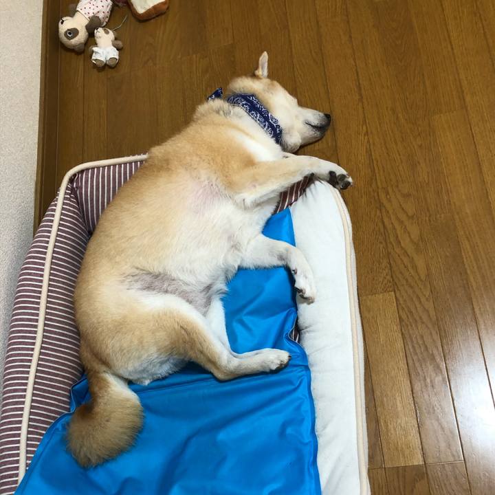 28368ce4 3044 4038 99ae fbf149255160 1597899142740