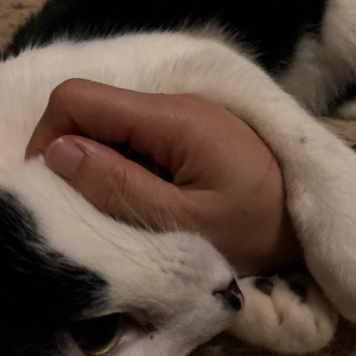 283697de aad3 47b2 b1c2 75a817a7597c 1546275580337