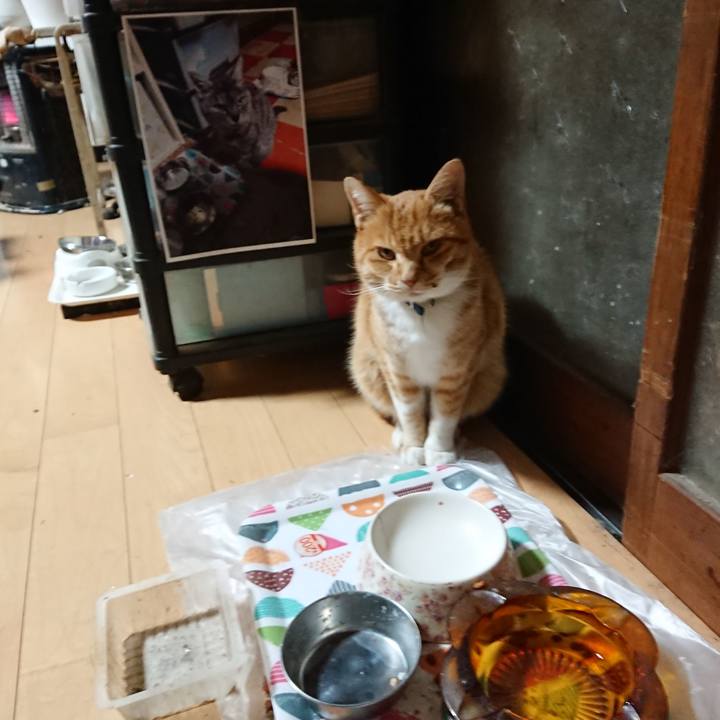 28369da9 1d88 4330 b29a a2d0469d66f2 1605729445242