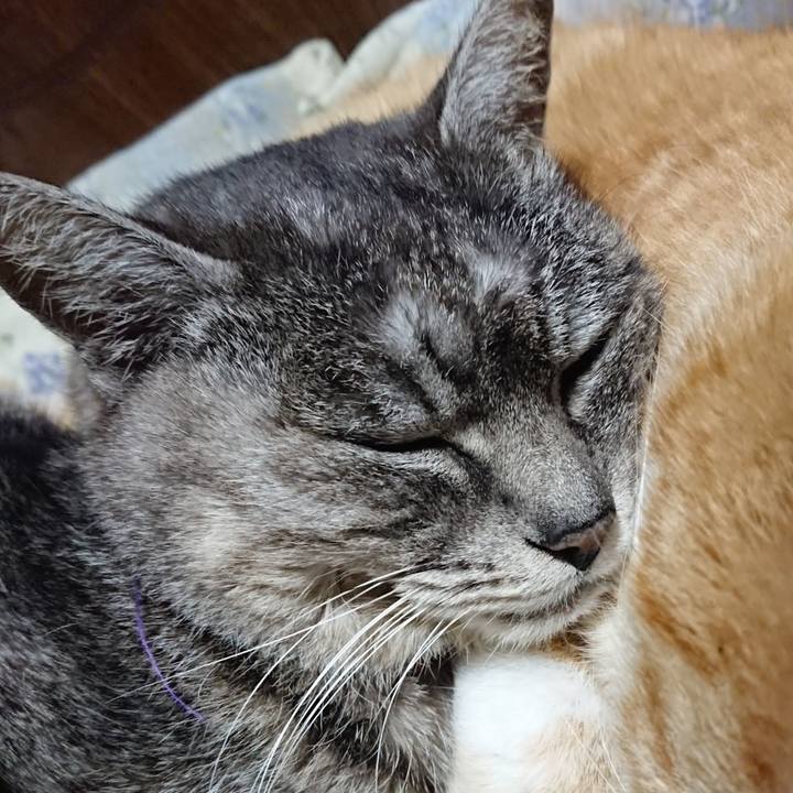 2836c7e5 941a 49f0 afe7 dd71ccd12389 1582806790027