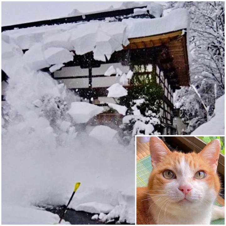 2836e905 dbe6 4cb1 944d c3282701dfa7 1690360535037