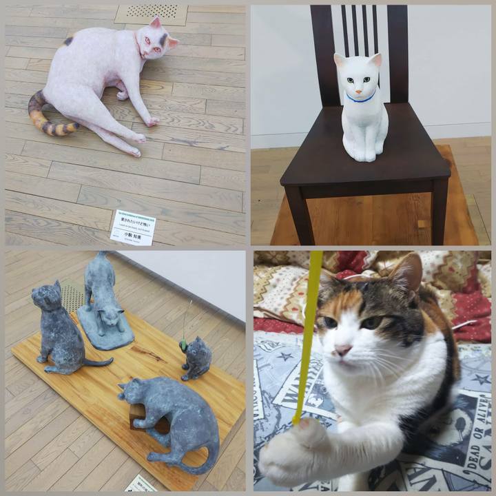 2836e969 446f 452b 917c dd6810634f61 1569578893795