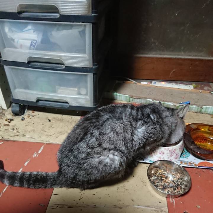 2836f847 fad7 446b 9de5 6c81c386acbf 1573502515381