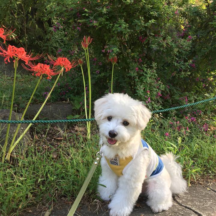 28376131 db8a 47a2 bb27 a3b7f4258698 1569369873326