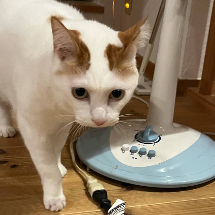 28376a34 2245 46b1 b85d f7eab9da6f11 1761948571448