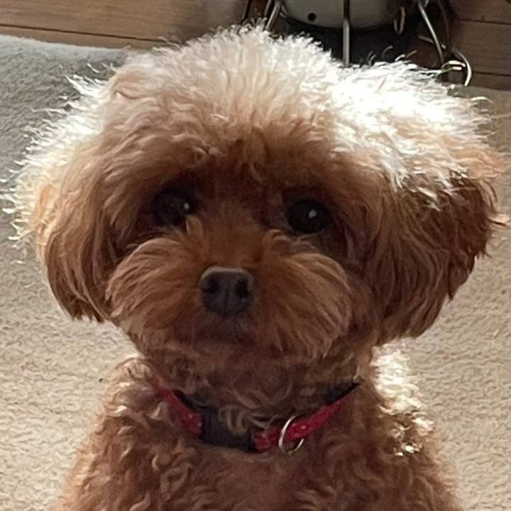 2837be32 e943 41ed b26b 7d0d285e90a4 1667688208369