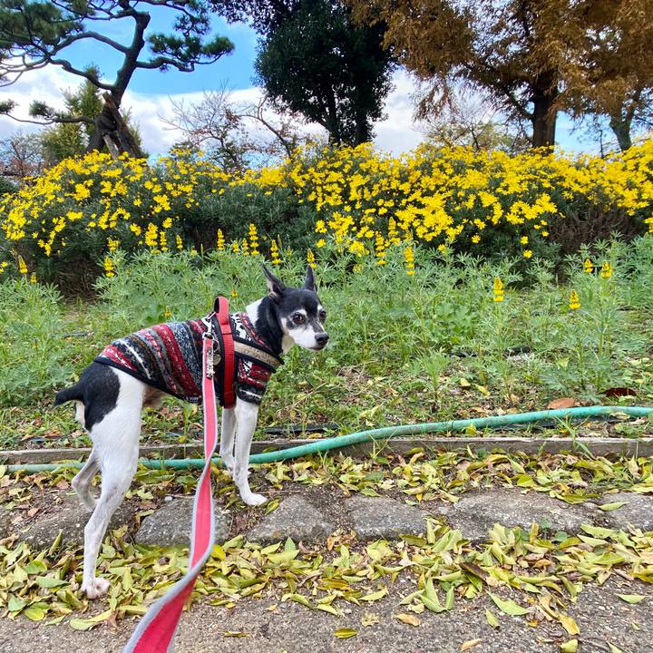 2837d44d 256d 4e97 8868 4a2dcbac2ba8 1606527846842