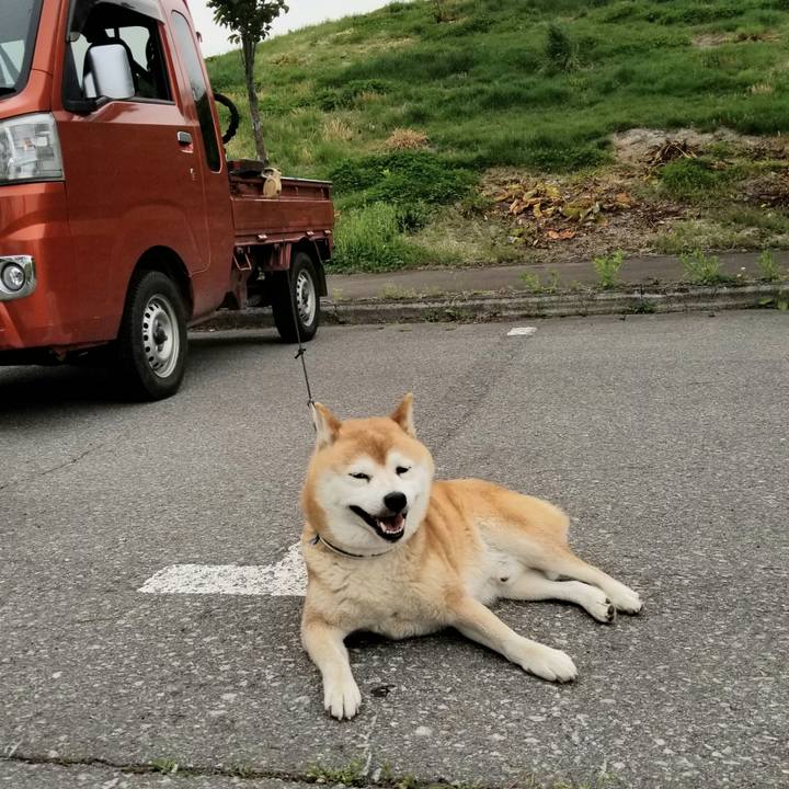 2837e7f3 87d8 4e70 89e8 539c7cdba01c 1620454397436