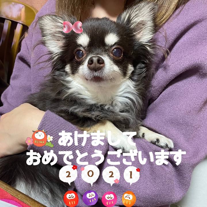 283819e5 4545 4d6e ba4a 487fe87a7f25 1609583477760