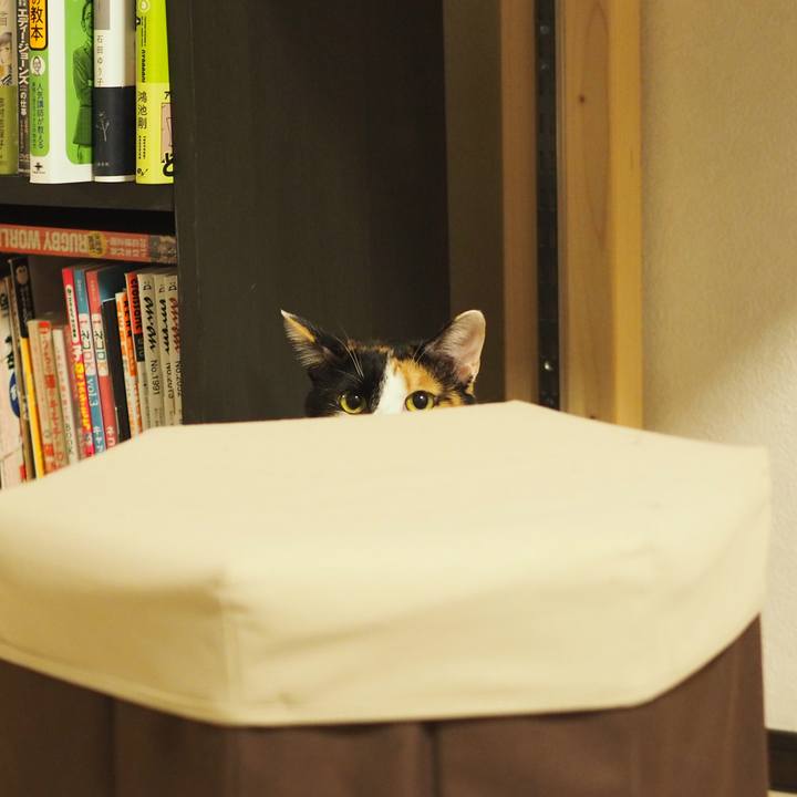 2838220f 7fa8 49d4 827d 0f1b12731b4b 1574553886645