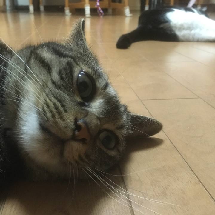 28382c90 eb56 4cb3 a2ca 3b90cb43e621 1593952262492