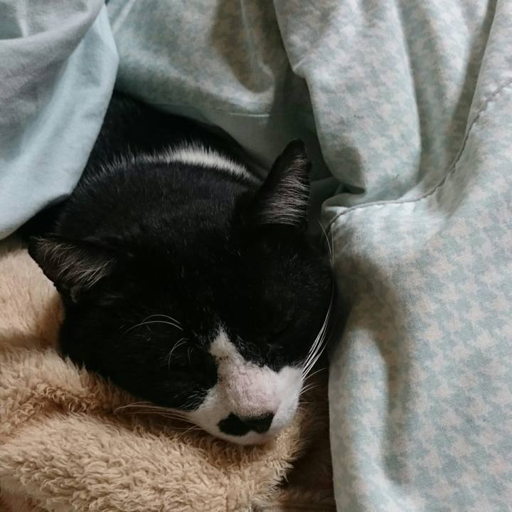 283832df e104 4f9d 84a5 4475535eb551 1509240478939