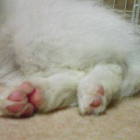 2838403d 28f5 4b93 8add 7258cb0861aa 1535002471165