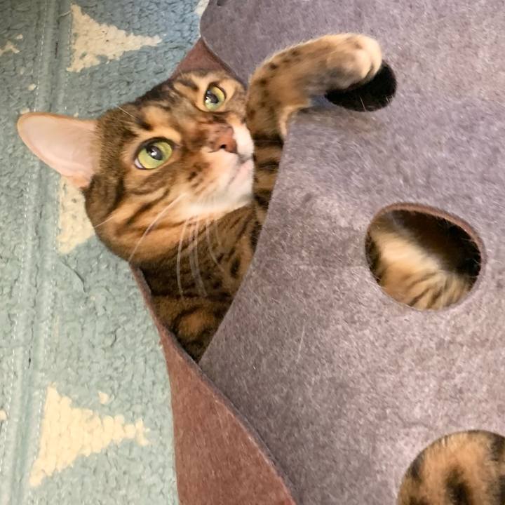 2838b602 c44a 470b 9e2c 0675e0b8368d 1609889112273