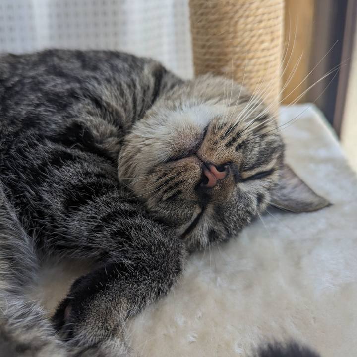 2838e4d9 b20e 4056 a6cf f58739feaa5e 1716178192069