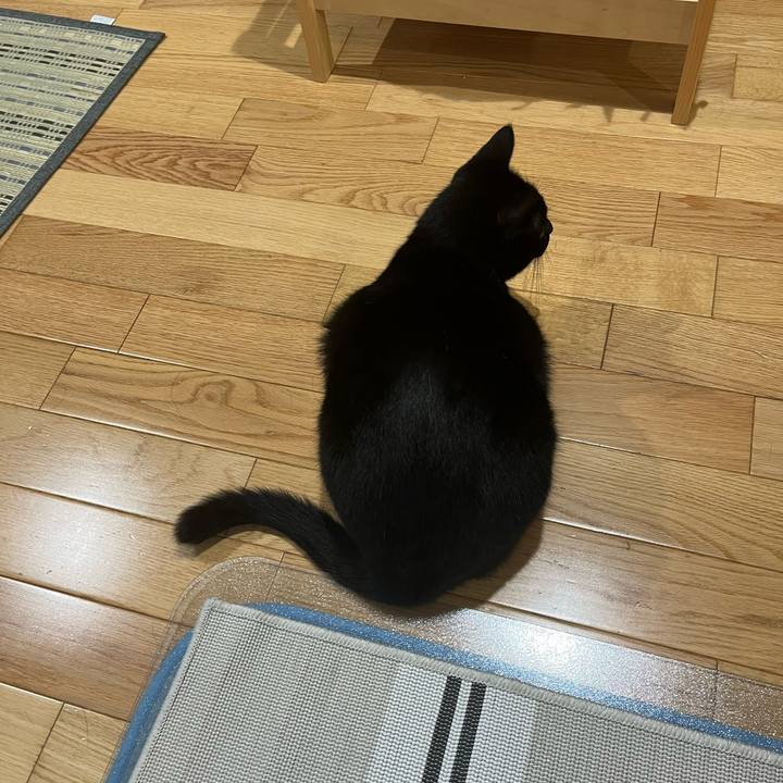 2838f559 91eb 4dc3 bd9e 594208f474cc 1660725455751