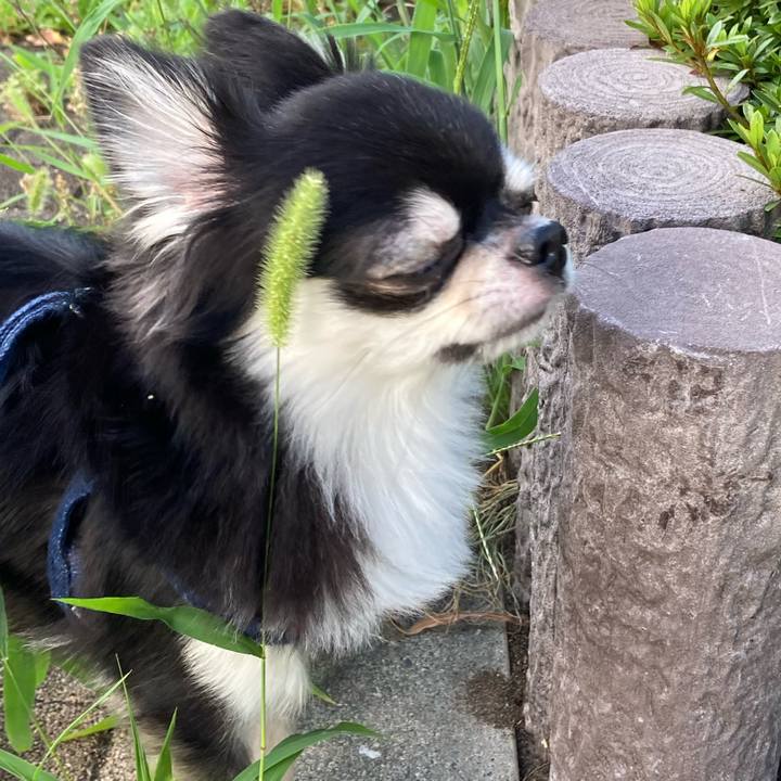 283951b7 f0e1 4381 93f4 3136bd8fb6d8 1628287432170