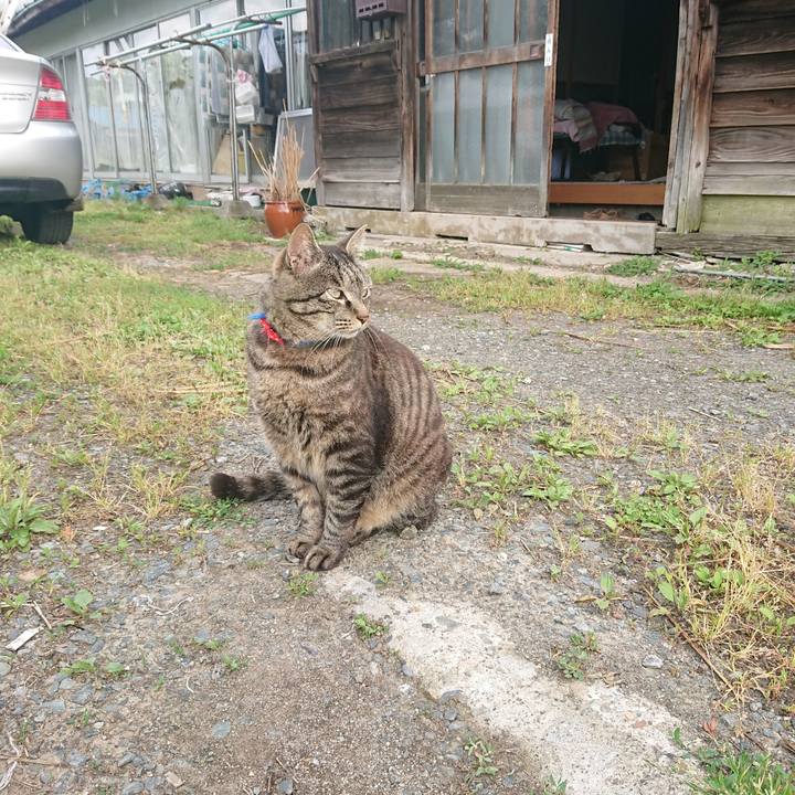 283961a3 ddf2 4573 bb03 44f86fa71752 1655330037542