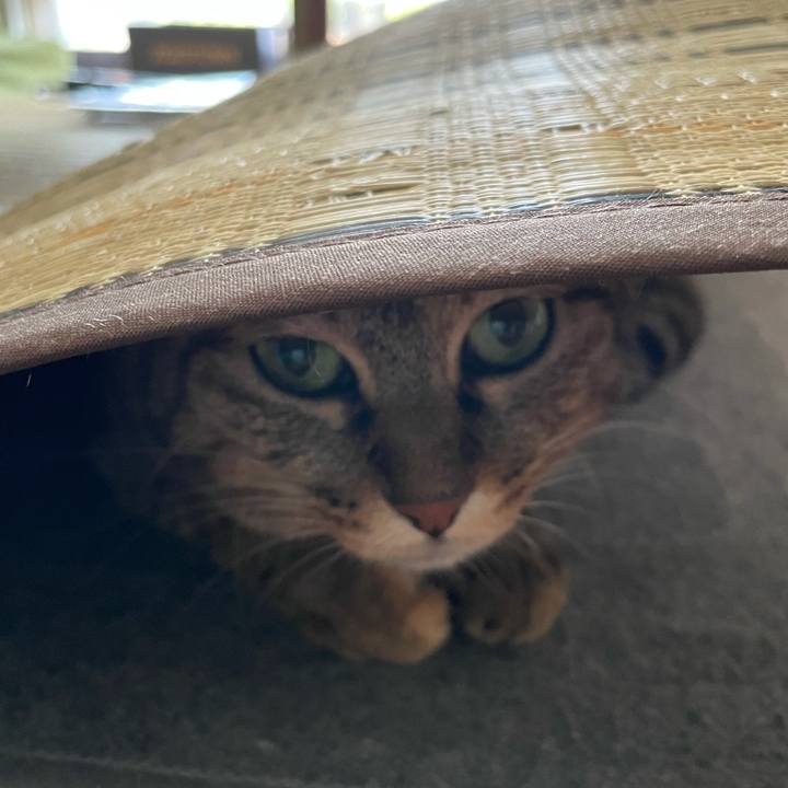 283988bb b22c 40a5 b62b 59626e8ea0f6 1630377789476