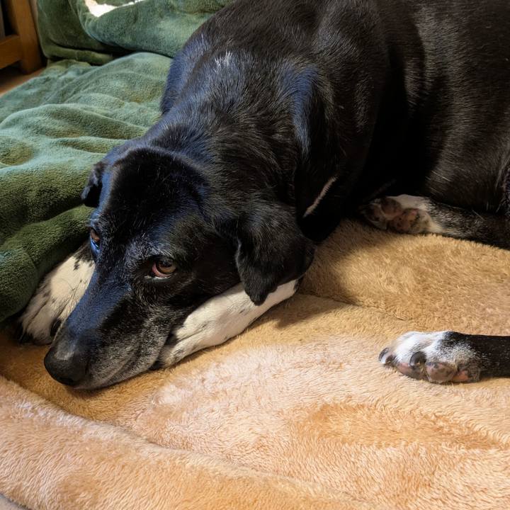 28399403 a3a0 436a 85de fdd0bcd50c01 1766309694297