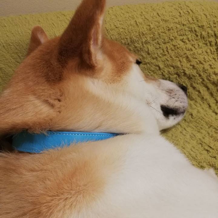 2839e995 c530 454f 90f3 4a12b25e4d47 1573909872184