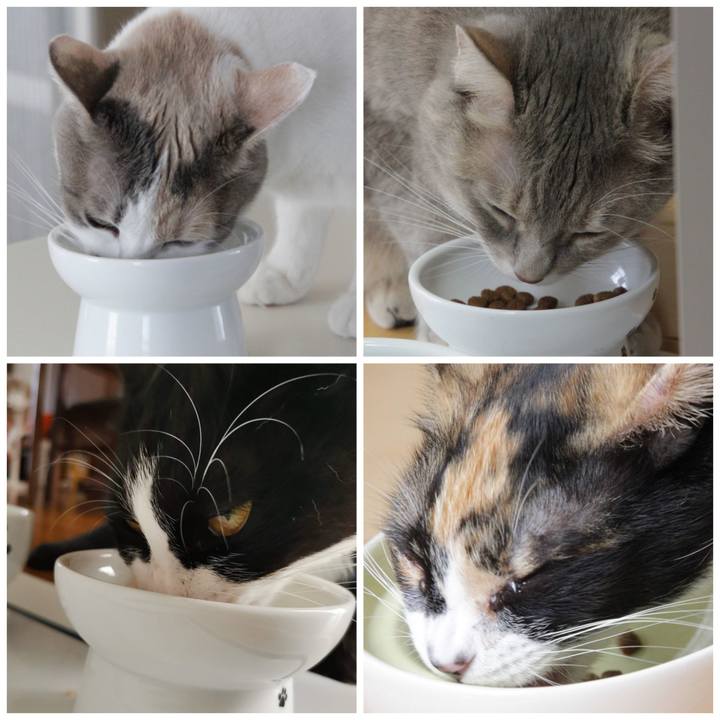 2839f717 1b15 4268 8700 febf17441b74 1605533155392