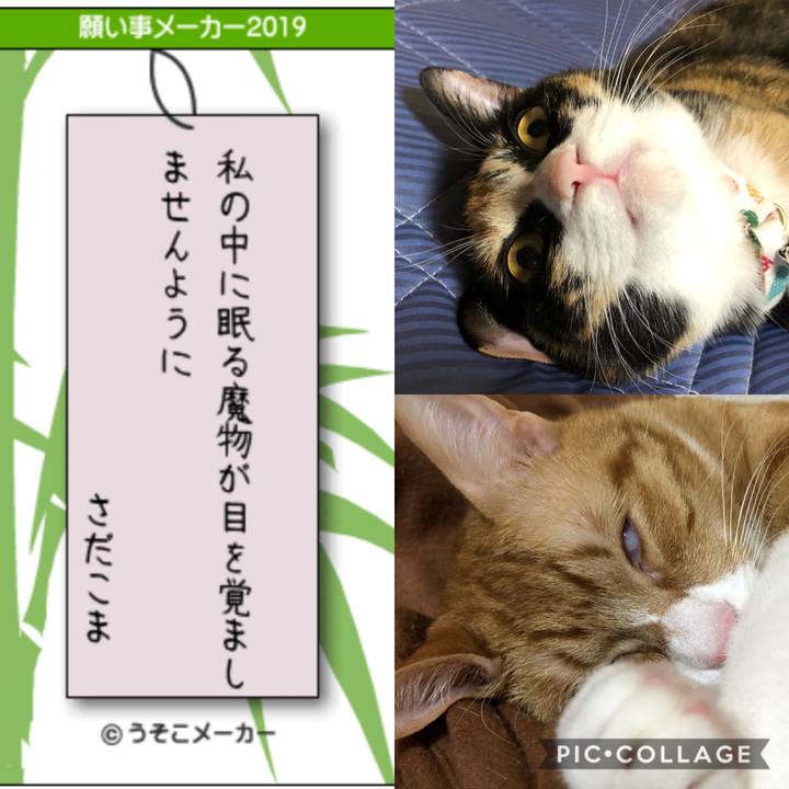 283a1c5e 2066 4f9f bc77 c31eca3eb258 1562499618321