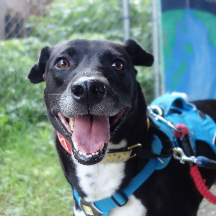 283a31a6 cfe8 41f5 b662 6dd38e3fdc29 1634778475410