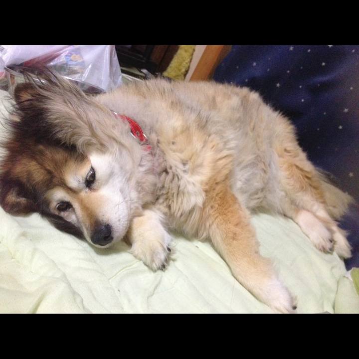 283a48da c40b 4ba0 b868 101370321595 1595216800493