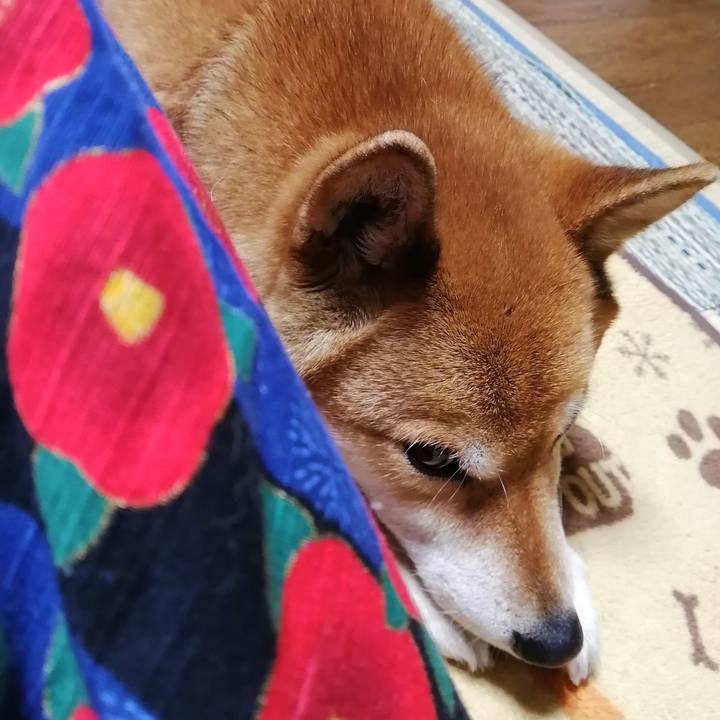 283a5498 5a50 45c3 ad58 6cf526a09970 1581597500749