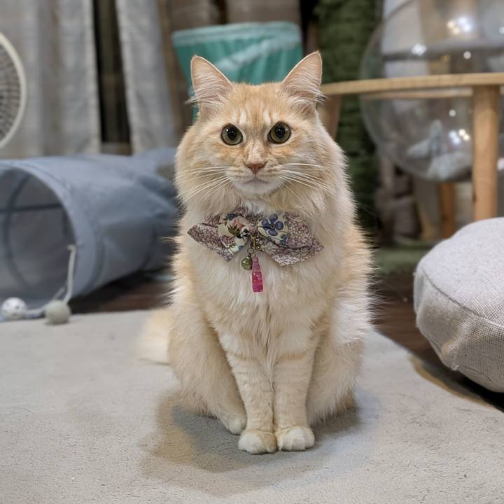 283a86b4 0951 4636 9e20 b667bd7f5484 1765456987918