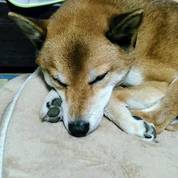 283acdf2 bd1d 4254 9bf1 27b3f14e6bc1 1571841646375