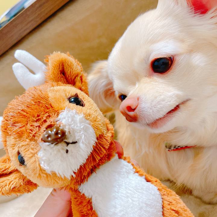 283aeca8 f511 4d49 8563 74b243ccc994 1644238022556