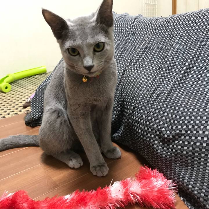 283b32b5 d9e8 4386 8b08 a3f74f36dc47 1511693649418